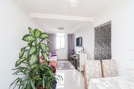 Apartamento à venda com 2 quartos, 52m² em Itaquera, São Paulo
