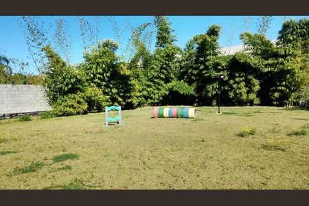 Apartamento para alugar com 49m², 2 quartos e 1 vaga Apartamento para alugar com 49m², 2 quartos e 1 vagaÁrea pet