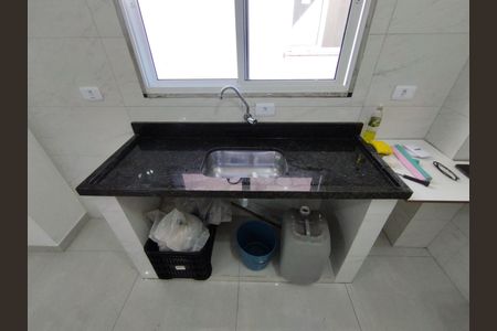 Cozinha - Torneira de apartamento para alugar com 2 quartos, 46m² em São João Climaco, São Paulo