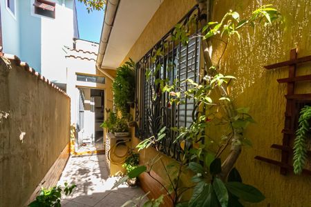Quintal de casa à venda com 2 quartos, 223m² em Santa Terezinha, São Bernardo do Campo