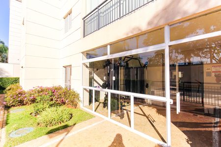 Área comum - Academia de apartamento para alugar com 2 quartos, 65m² em Brás, São Paulo