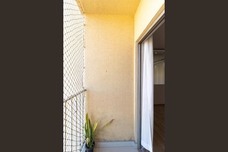 Sacada de apartamento à venda com 2 quartos, 65m² em Jardim Carlos Lourenço, Campinas