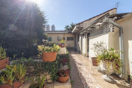Quintal - Área de lazer de casa à venda com 2 quartos, 160m² em Jardim Jussara, São Paulo