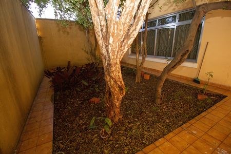 Jardim de casa para alugar com 3 quartos, 290m² em Vila Mangalot, São Paulo