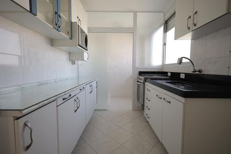 Cozinha de apartamento para alugar com 2 quartos, 59m² em Parque Sao Vicente, Santo André
