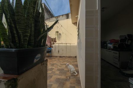 Fundos de casa à venda com 3 quartos, 120m² em Raposo Tavares, São Paulo