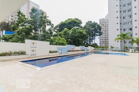 Area Comum - Piscina de apartamento para alugar com 2 quartos, 49m² em Jardim Flor da Montanha, Guarulhos