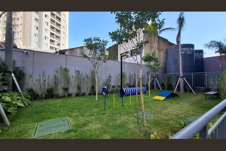 Área Comum - Pet Place de kitnet/studio para alugar com 1 quarto, 25m² em Pinheiros, São Paulo