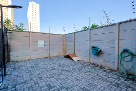 Área comum - Espaço Pet de apartamento para alugar com 2 quartos, 46m² em Jardim Boa Vista (zona Oeste), São Paulo