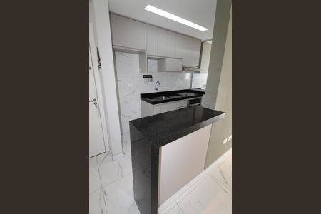 Cozinha de apartamento para alugar com 2 quartos, 48m² em Vila Iracema, São José dos Campos