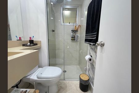 Banheiro de apartamento para alugar com 3 quartos, 60m² em Conjunto Promorar Raposo Tavares, São Paulo