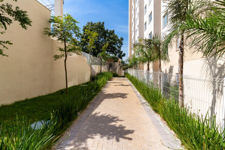 Área de Serviço de apartamento para alugar com 2 quartos, 32m² em Itaquera, São Paulo
