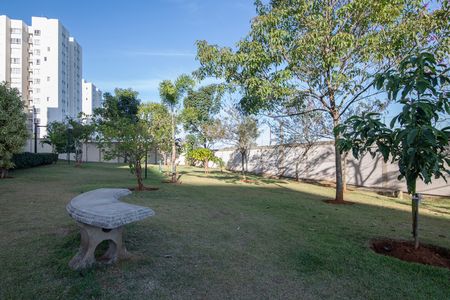 Área Comum - Área Verde de apartamento para alugar com 2 quartos, 54m² em Jardim das Colinas, Hortolândia