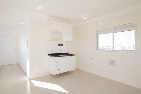 Sala de apartamento para alugar com 1 quarto, 30m² em Vila Matilde, São Paulo