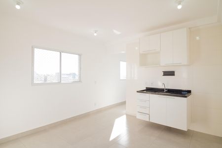 Sala de apartamento para alugar com 1 quarto, 30m² em Vila Matilde, São Paulo