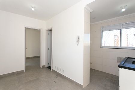 Apartamento para alugar com 1 quarto, 30m² em Vila Matilde, São Paulo
