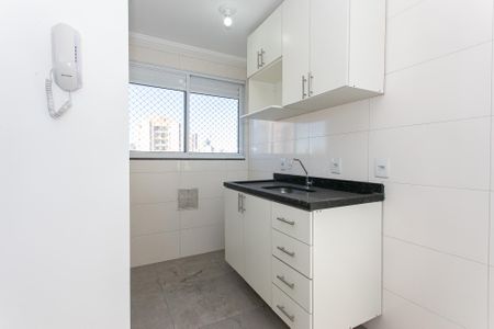 Cozinha de apartamento para alugar com 1 quarto, 30m² em Vila Matilde, São Paulo