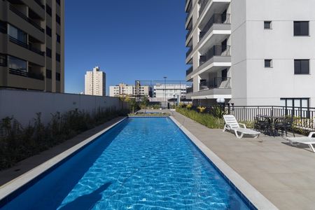 Área comum - Piscina de apartamento à venda com 2 quartos, 65m² em Vila Paulista, Guarulhos