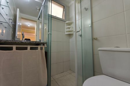 Banheiro de apartamento para alugar com 2 quartos, 48m² em Recanto Fortuna, Campinas