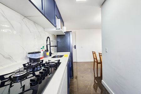 Cozinha de apartamento para alugar com 2 quartos, 54m² em Santo Cristo, Rio de Janeiro