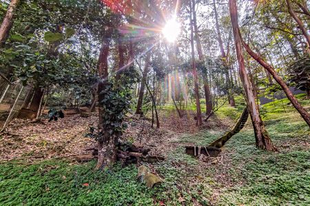 Apartamento à venda com 70m², 3 quartos e 2 vagas Apartamento à venda com 70m², 3 quartos e 2 vagasÁrea Comum - Bosque