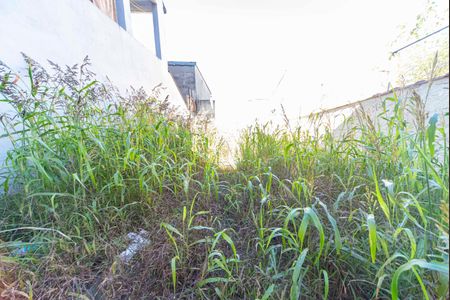 Quintal e Jardim de casa para alugar com 1 quarto, 80m² em Parque Capuava, Santo André