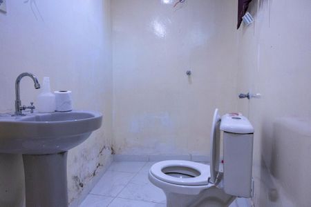 Casa para alugar com 250m², 3 quartos e 4 vagas