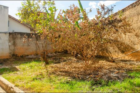 Casa para alugar com 66m², 3 quartos e 5 vagasQuintal