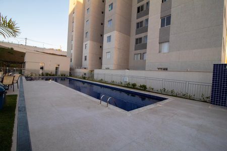 Área comum - Piscina de apartamento para alugar com 3 quartos, 68m² em Palmeiras, Belo Horizonte