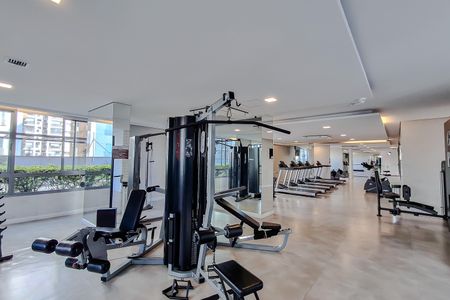 Área comum - Academia de apartamento para alugar com 2 quartos, 72m² em Vila Dom Pedro I, São Paulo