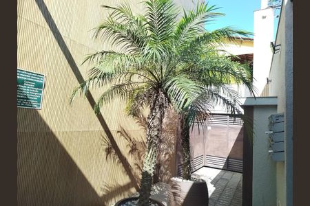 Studio para alugar com 29m², 1 quarto e sem vaga Studio para alugar com 29m², 1 quarto e sem vagaÁrea comum