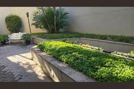 Apartamento à venda com 3 quartos, 85m² em Água Fria, São Paulo
