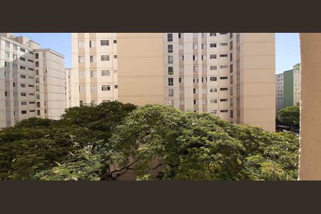 Vista do Quarto 2 de apartamento para alugar com 3 quartos, 60m² em Piratininga, Osasco