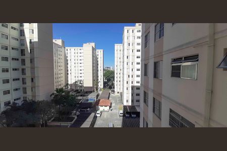 Vista do Quarto 3 de apartamento para alugar com 3 quartos, 60m² em Piratininga, Osasco