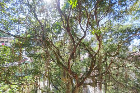 Vista de apartamento à venda com 2 quartos, 80m² em Cosme Velho, Rio de Janeiro
