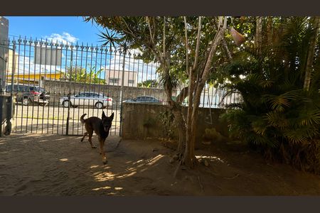 Casa para alugar com 479m², 4 quartos e 4 vagas Casa para alugar com 479m², 4 quartos e 4 vagasÁrea externa