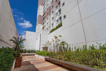 Apartamento para alugar com 52m², 2 quartos e 1 vaga Apartamento para alugar com 52m², 2 quartos e 1 vagaÁrea comum