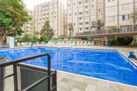 Área comum - Piscina de apartamento à venda com 2 quartos, 70m² em Jardim Taquaral, São Paulo