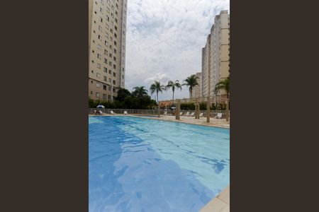 Área comum - Piscina de apartamento para alugar com 2 quartos, 45m² em Ponte Grande, Guarulhos
