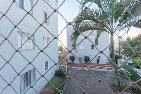 Vista do Quarto 2 de apartamento à venda com 3 quartos, 77m² em Vila Mimosa, Campinas