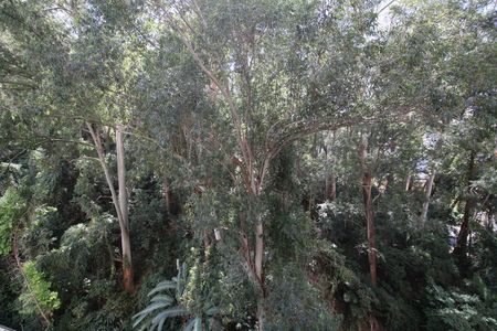Vista Varanda Sala  de apartamento para alugar com 2 quartos, 54m² em Vila Andrade, São Paulo