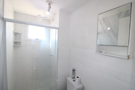 Banheiro de apartamento para alugar com 2 quartos, 49m² em Vila Roque, São Paulo