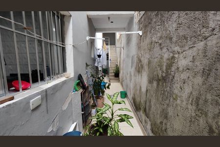 Quintal de casa para alugar com 2 quartos, 100m² em Vila Santa Margarida, Ferraz de Vasconcelos