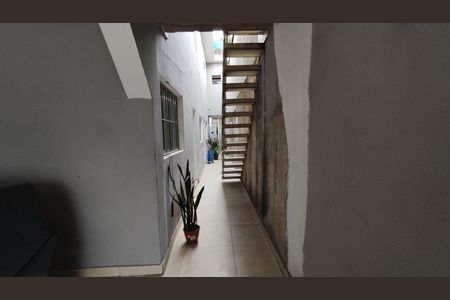 Quintal de casa para alugar com 2 quartos, 100m² em Vila Santa Margarida, Ferraz de Vasconcelos