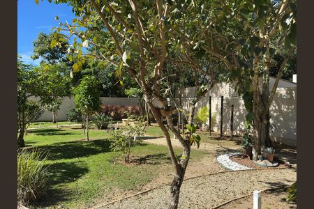 Apartamento para alugar com 74m², 3 quartos e 2 vagasÁrea comum
