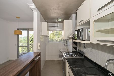 Cozinha de apartamento para alugar com 1 quarto, 48m² em Panamby, São Paulo
