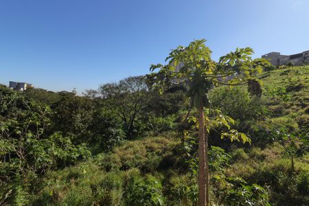 Vista da Área de Serviço da Casa 1 de casa à venda com 3 quartos, 225m² em Parque Itrapoã, Santo André
