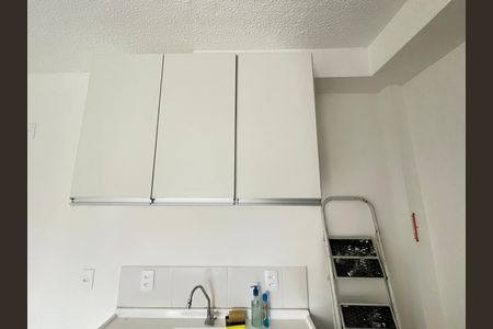 Apartamento para alugar com 44m², 2 quartos e sem vagaCozinha - Armários