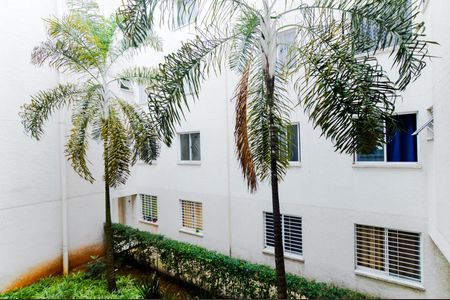 Vista da Sala de apartamento para alugar com 2 quartos, 38m² em Jardim Albertina, Guarulhos