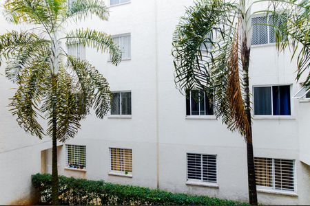 Vista do Quarto 1 de apartamento para alugar com 2 quartos, 38m² em Jardim Albertina, Guarulhos